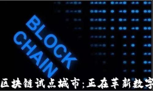 
深入探讨欧盟区块链试点城市：正在革新数字经济的新前沿