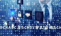 为什么ImToken不支持BCHABC与BCHSV分叉后的BCHA？深度