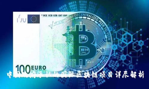 中国政府承认的国际区块链项目详尽解析